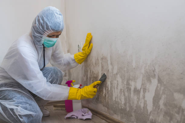 Water Damage Restoration in Rural Retreat, VA