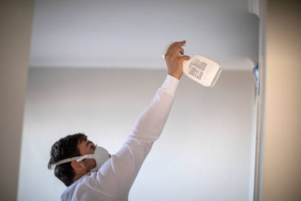 Best Residential Mold Removal  in Rural Retreat, VA
